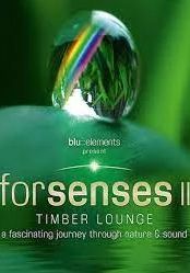 Forsenses II Timber Lounge                                2011